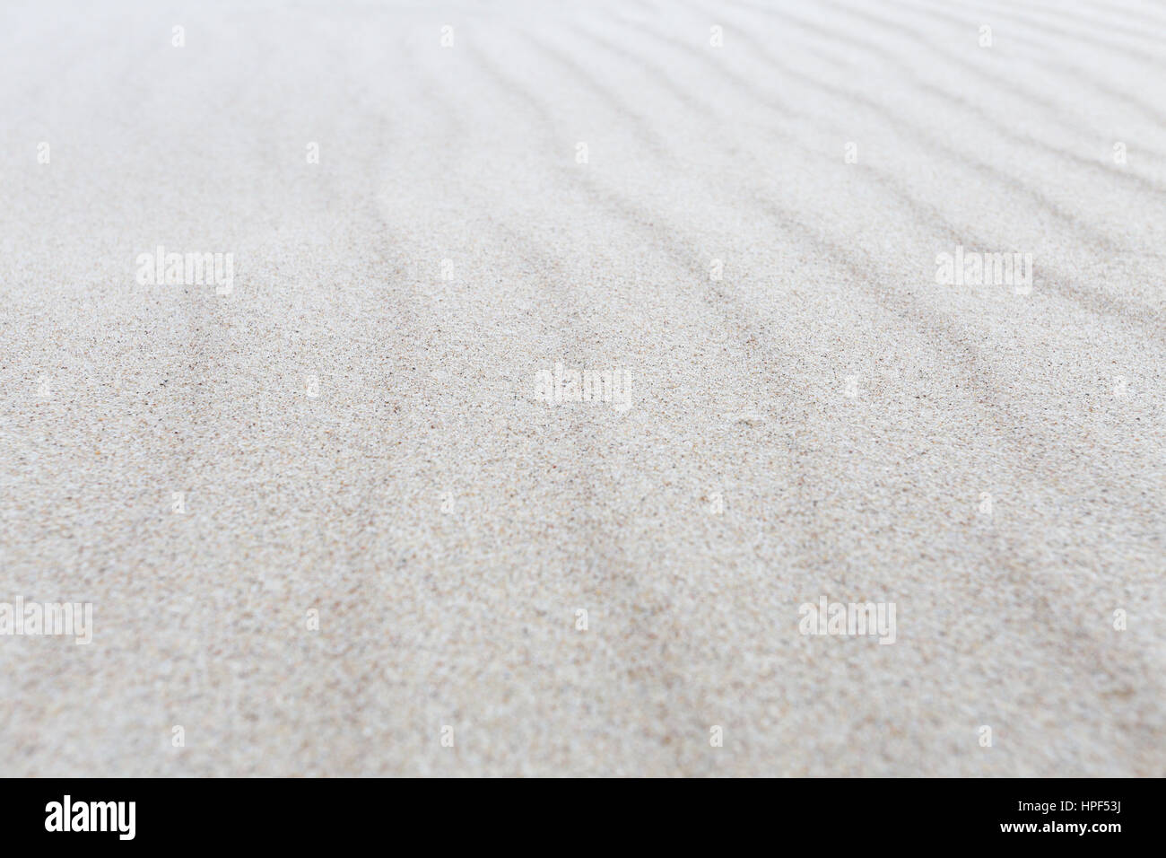 Sea sand with selective focus in black and white colours Stock Photo