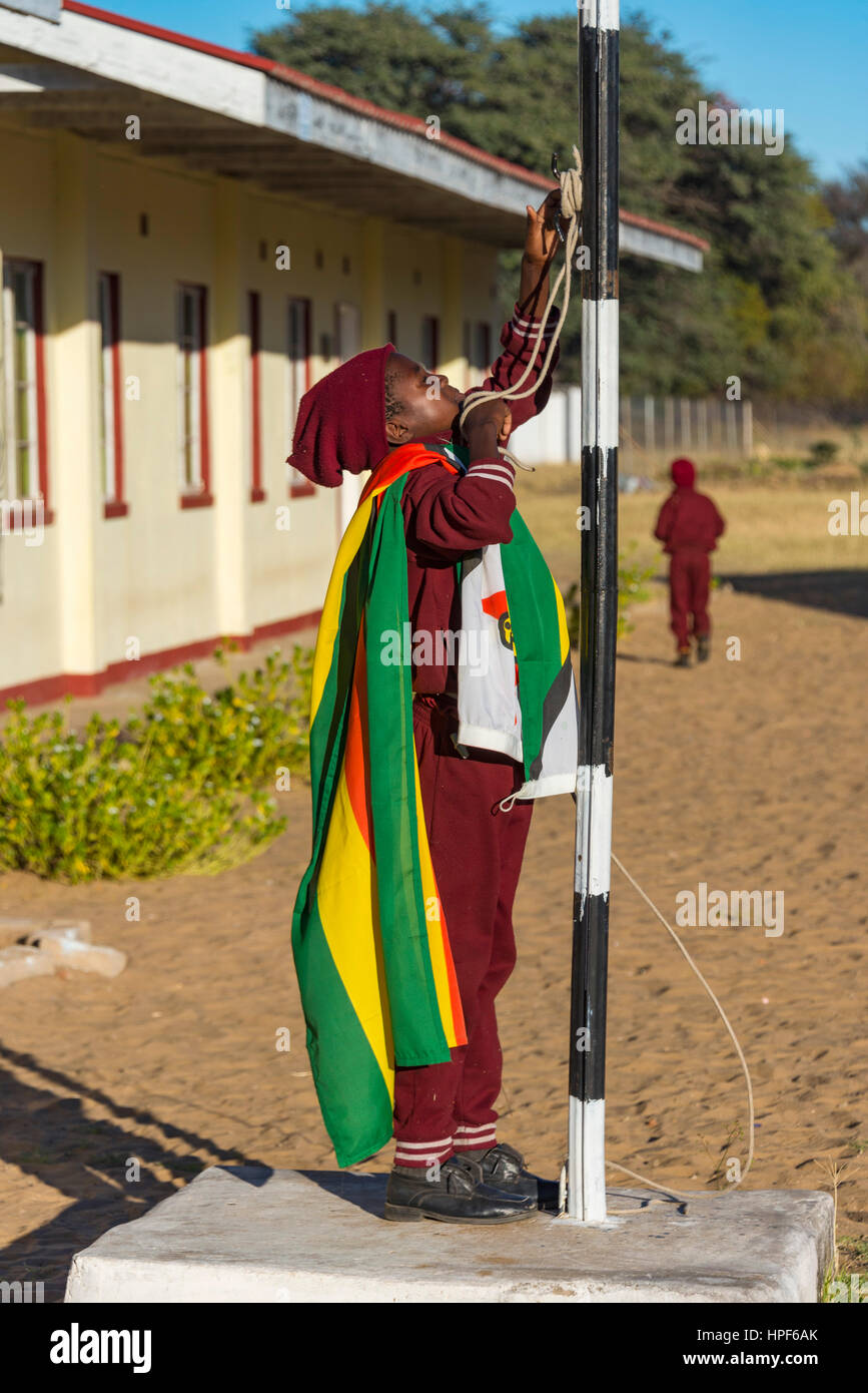 A school child raises the Zimbabwean flag at a rural school in Matabeleland. Stock Photo