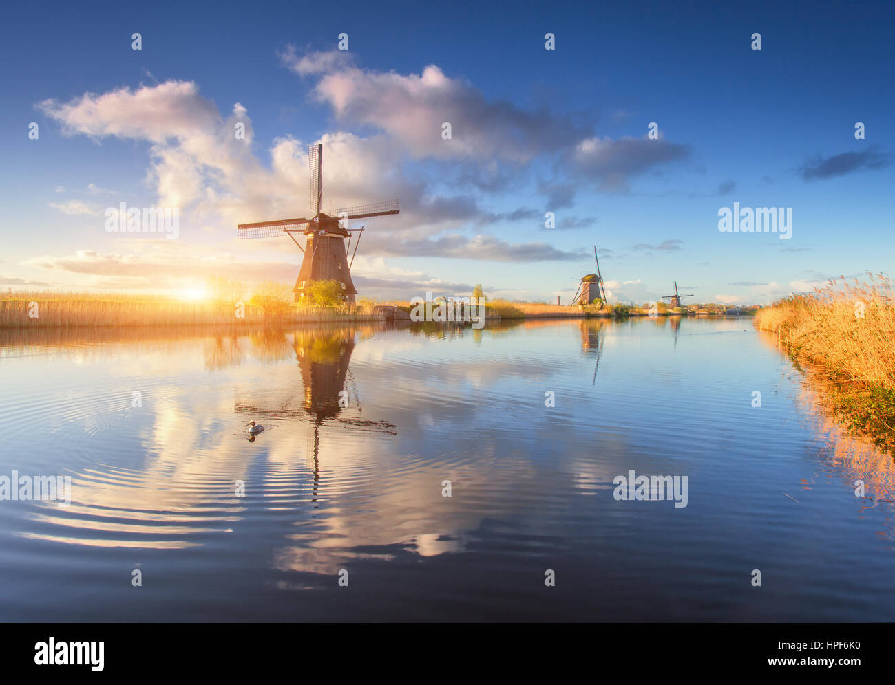 Windmills at sunrise. Rustic landscape with amazing dutch windmills near the water canals with blue sky and clouds reflected in water Stock Photo