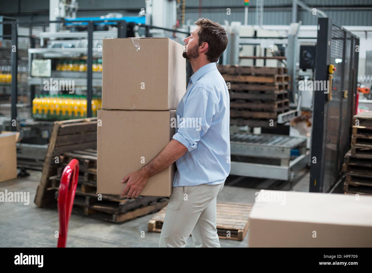 Box factory. Box factory