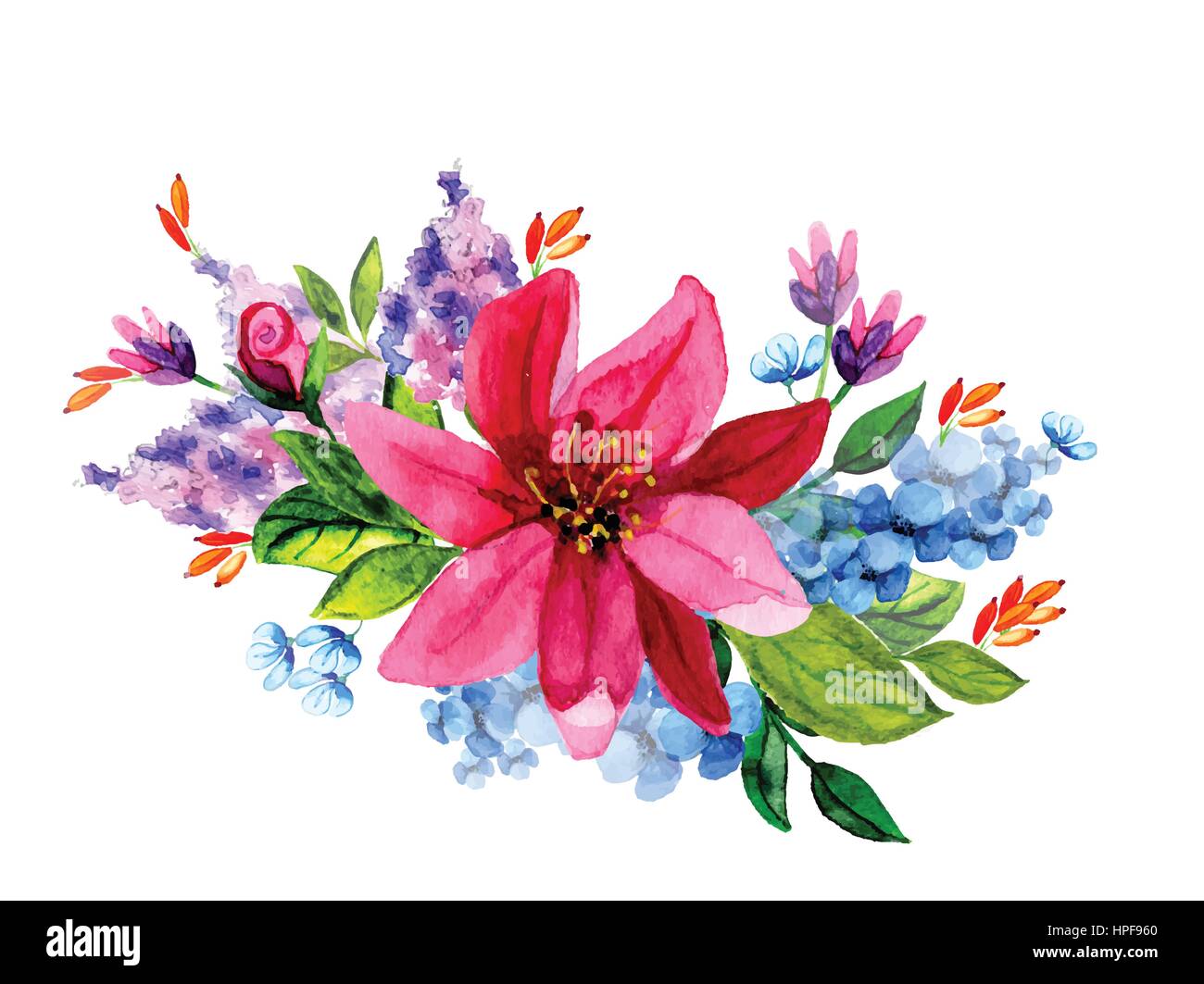 Hand painted watercolor vector floral bouquet Stock Vector Image & Art ...