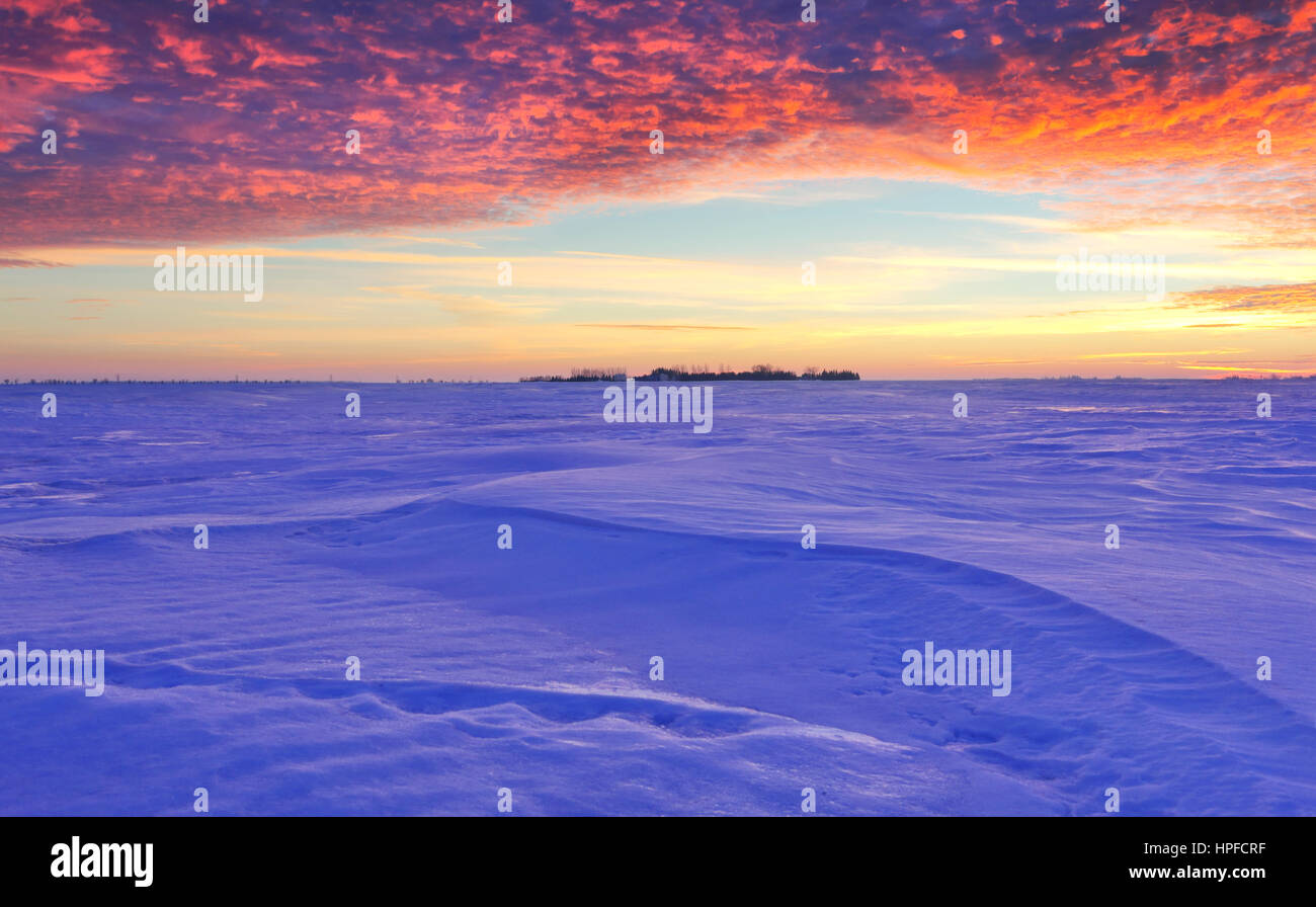 Winter sunset with beautiful purple cloud on snow covered fields in Manitoba, Canada Stock Photo