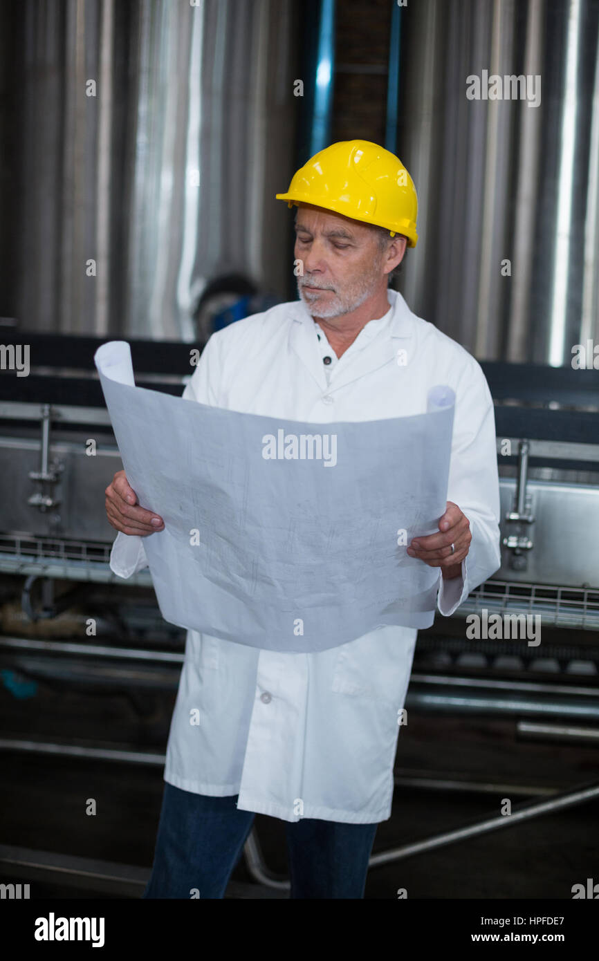 Factory engineer looking at blueprint in bottle factory Stock Photo