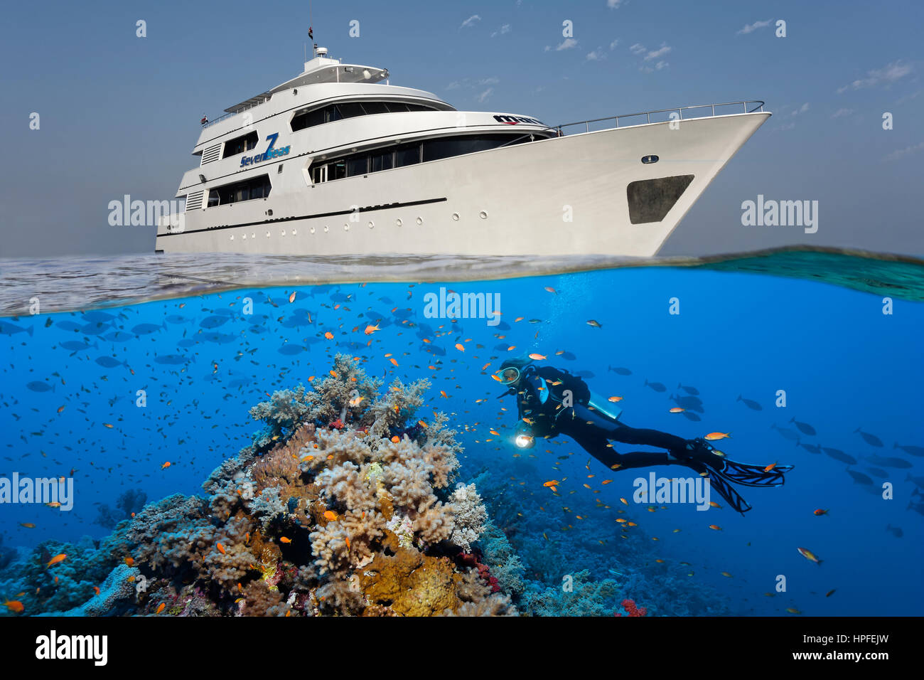 Above: liveaboard, diving boat, Seven7Seas, down divers, coral reef, shoal of fish, Red Sea, Egypt Stock Photo