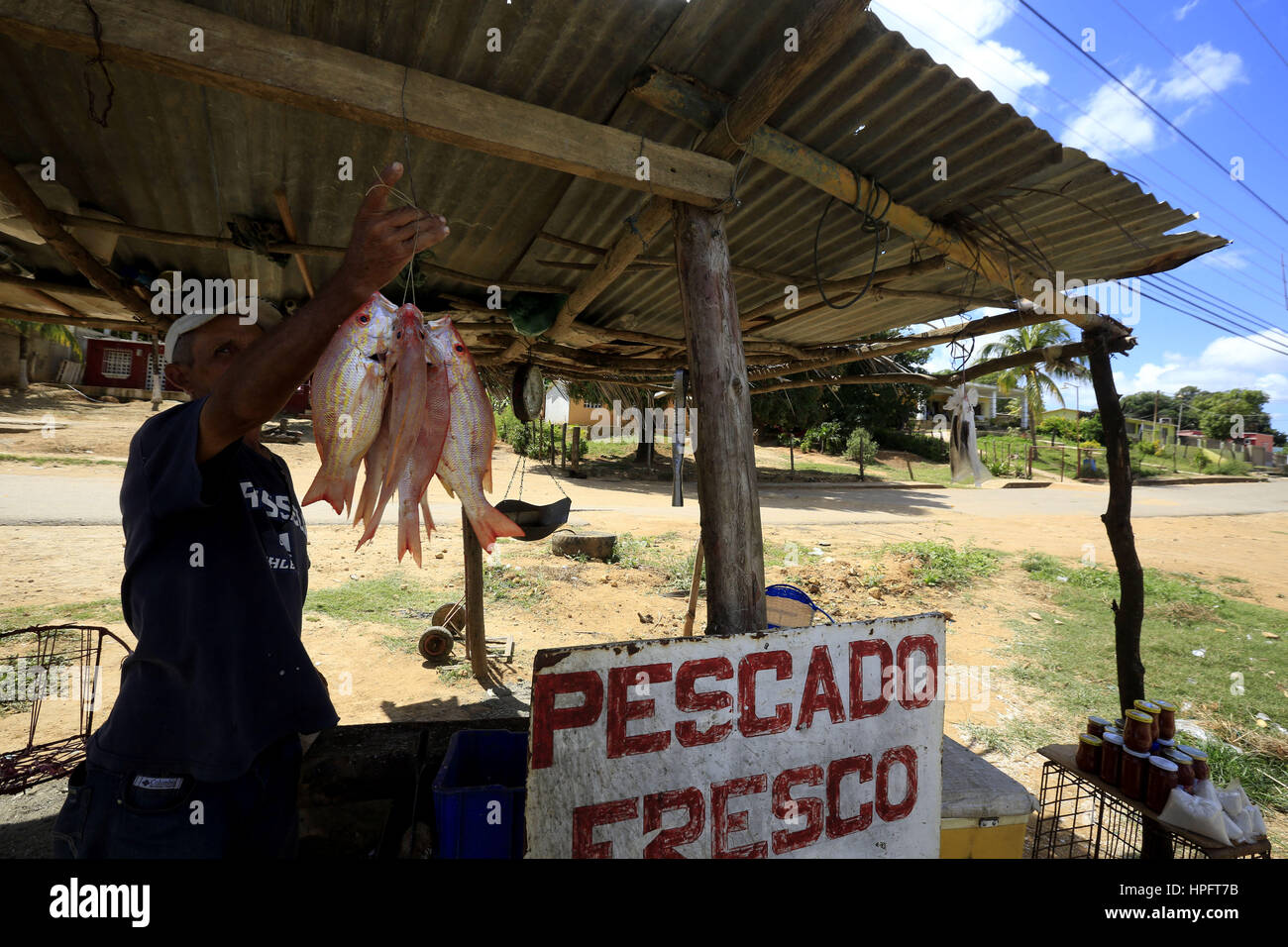 February 17, 2017 - Carretera A Santa Ana  De Coro, Falcon, Venezuela - Un hombre, vende pescados frescos al borde de la carretera que conduce desde Chichiriviche a la ciudad de Santa Ana de Coro. Foto: Juan Carlos Hernandez..------------------------------------------.A man sells fresh fish at the edge of the road leading from Chichiriviche to the town of Santa Ana de Coro. Photo: Juan Carlos Hernandez. (Credit Image: © Juan Carlos Hernandez via ZUMA Wire) Stock Photo