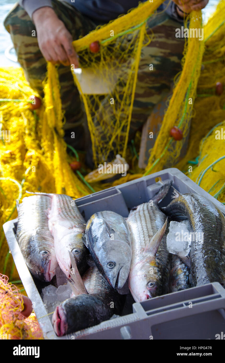 Food from crete hi res stock photography and images Alamy