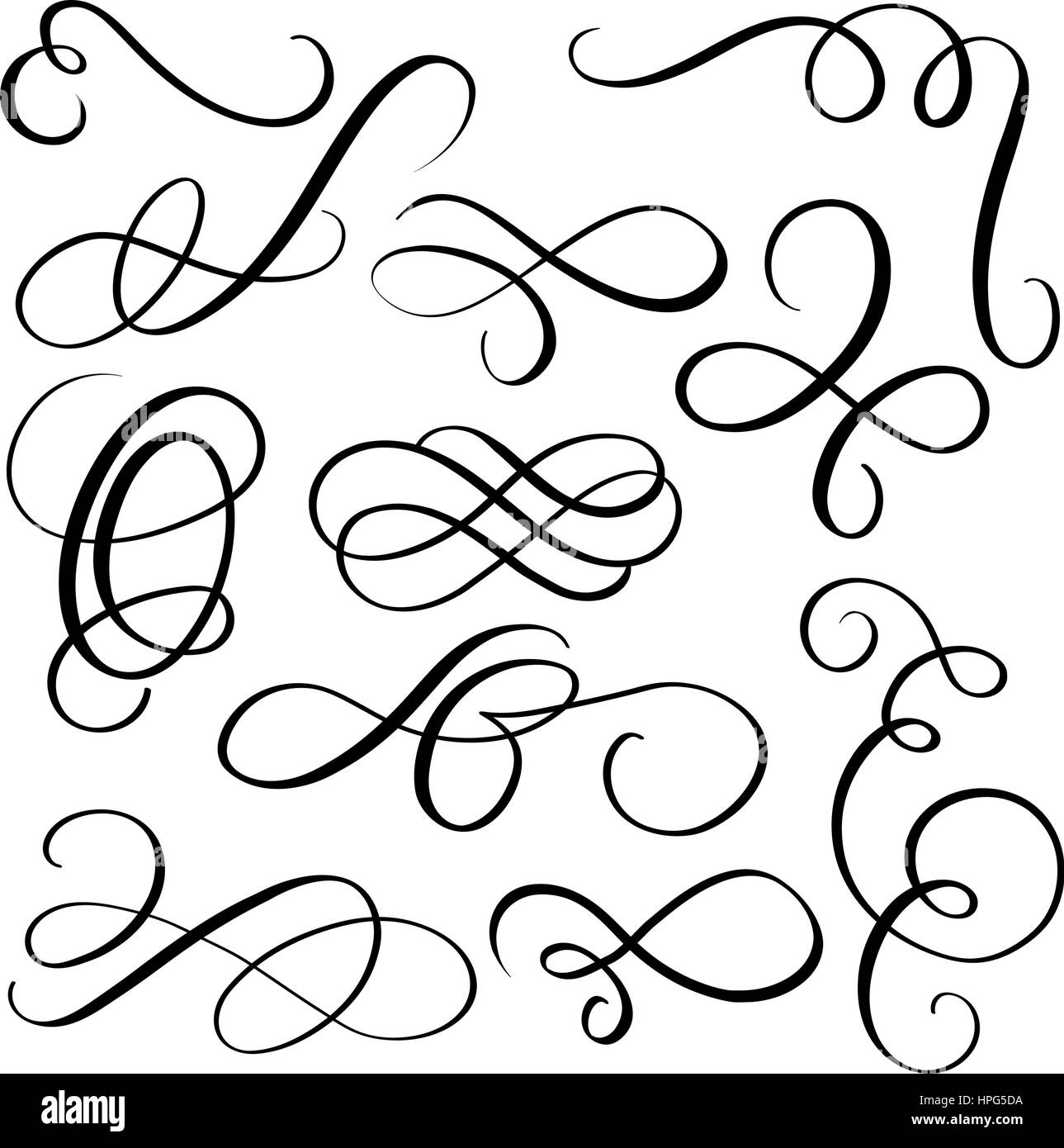 art calligraphy flourish of vintage decorative whorls for design