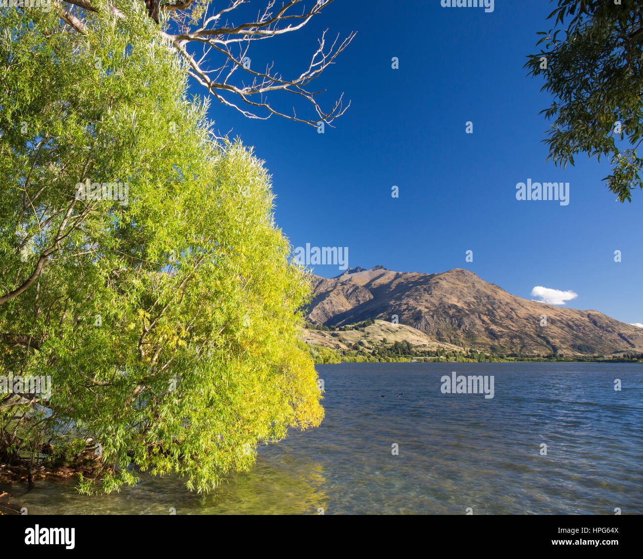 Arrowtown, Otago, New Zealand. View across the tranquil waters of Lake Hayes to the Remarkables, Double Cone discernible. Stock Photo