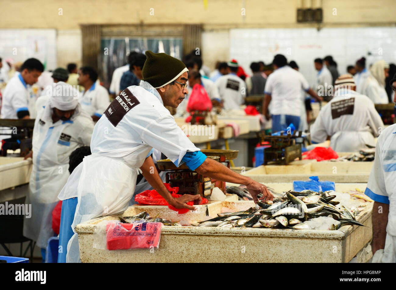 United Arab Emirates, Dubai, Deira, fish market Stock Photo Alamy