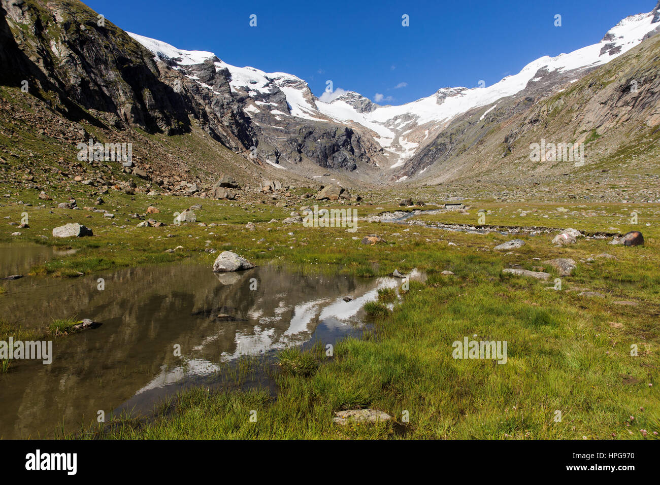 Reflections in a small pond in the Maurertal, national park Hohe Tauern, Austria Stock Photo