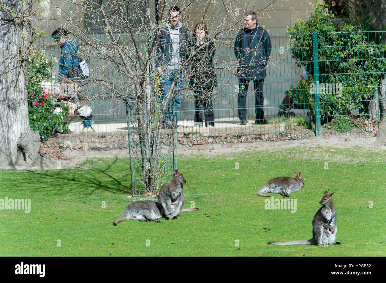 France. Paris 5th district. Jardin des plantes (Garden of Plants) The