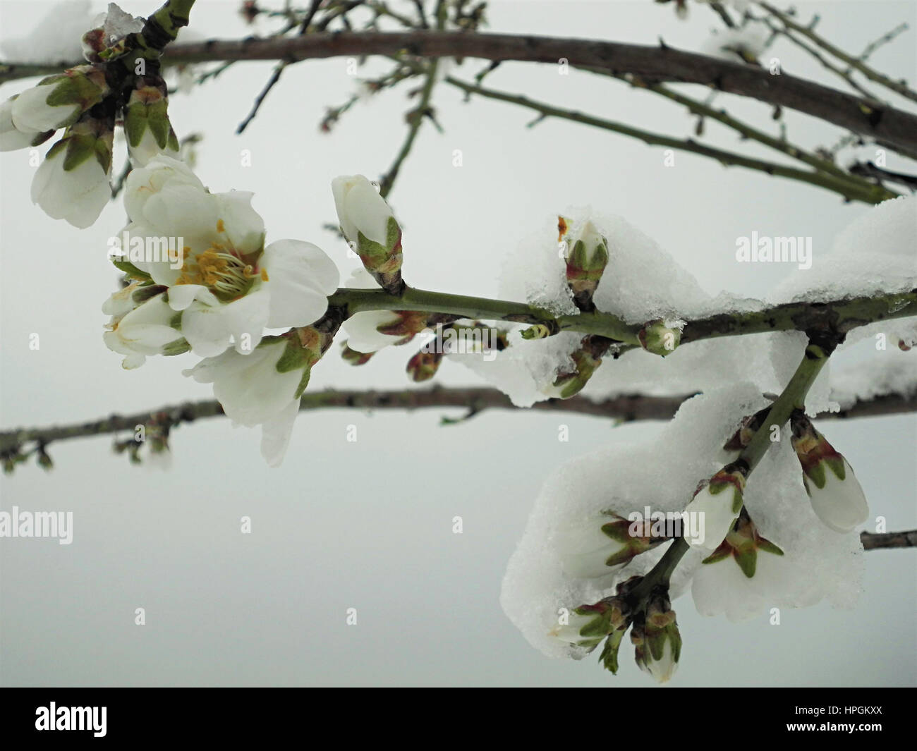 Temperature anomaly hires stock photography and images Alamy