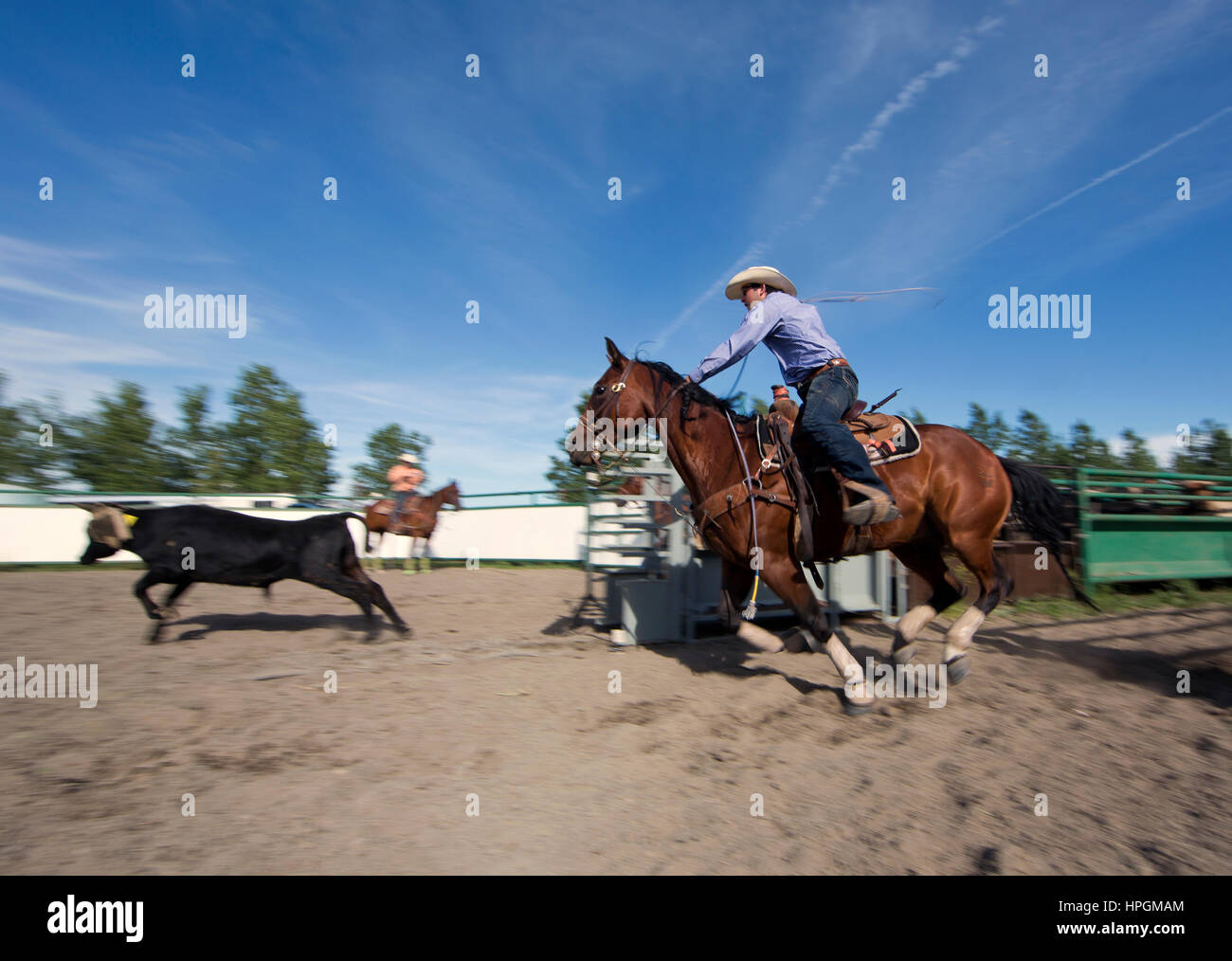 cowboy stampede in Galgary, Canada Stock Photo