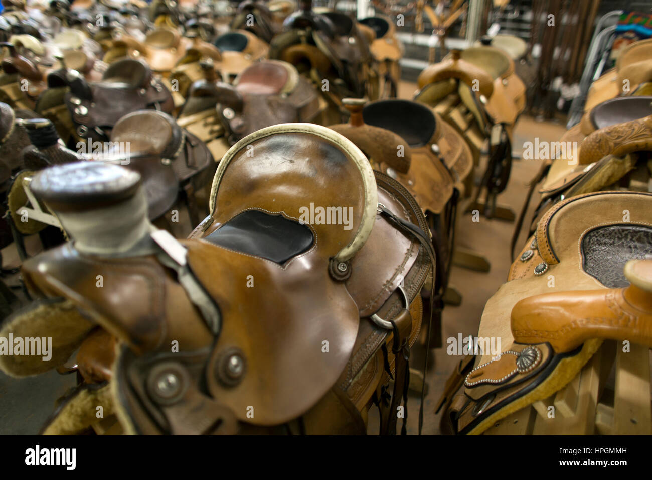 horse saddle shop in canada Stock Photo Alamy