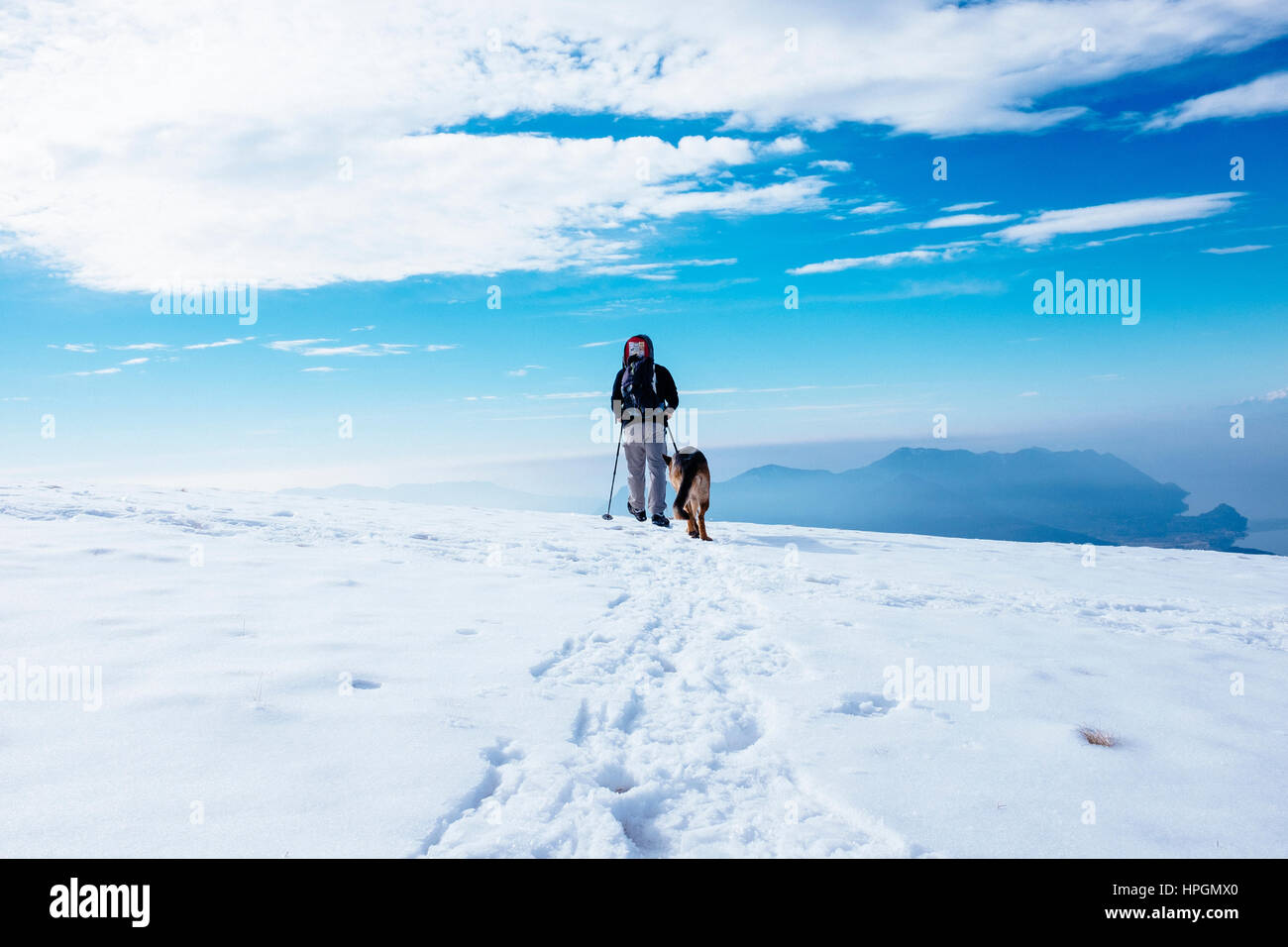 hiker with dog on the mountain Stock Photo - Alamy