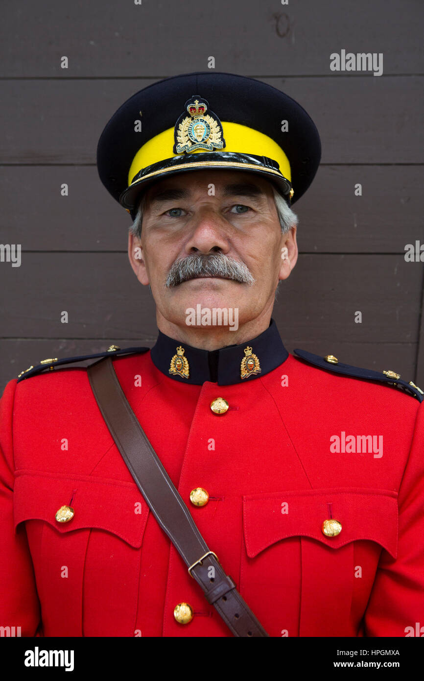Canadian mounty horse hi-res stock photography and images - Alamy