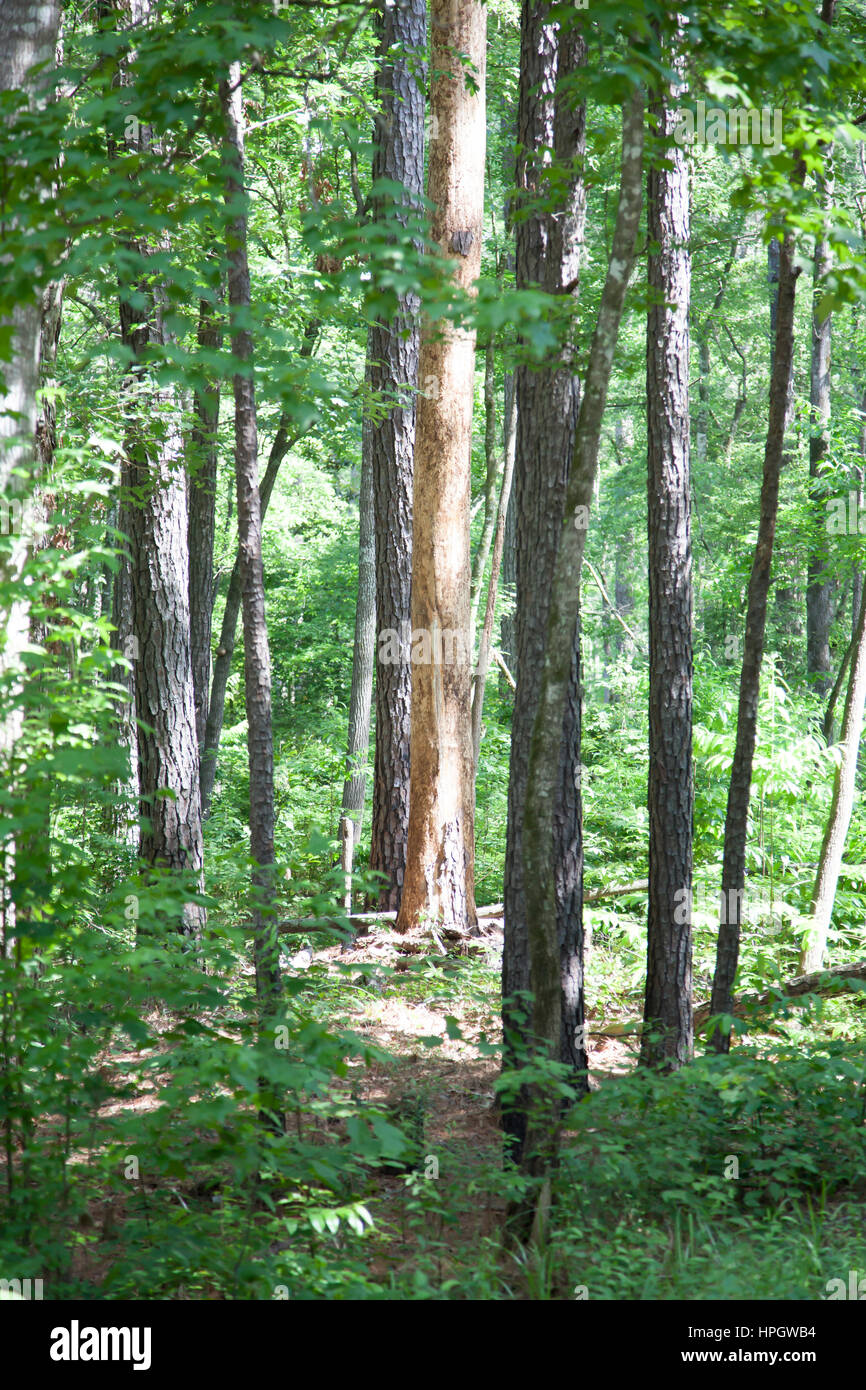 Mysterious deep hi-res stock photography and images - Alamy