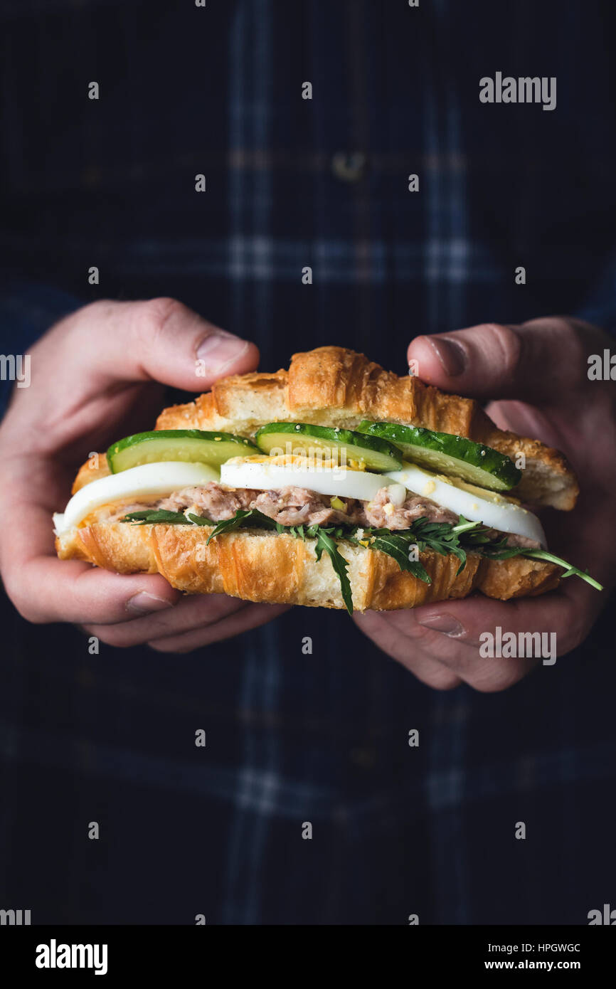 Hands holding tuna croissant sandwich with arugula, egg, tuna salad and cucumber. Closeup view, toned image Stock Photo