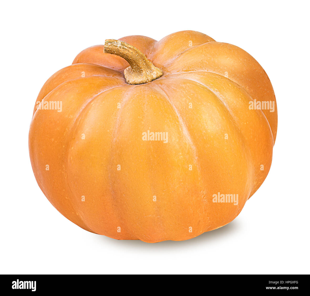 Pumpkins isolated on white background Stock Photo - Alamy