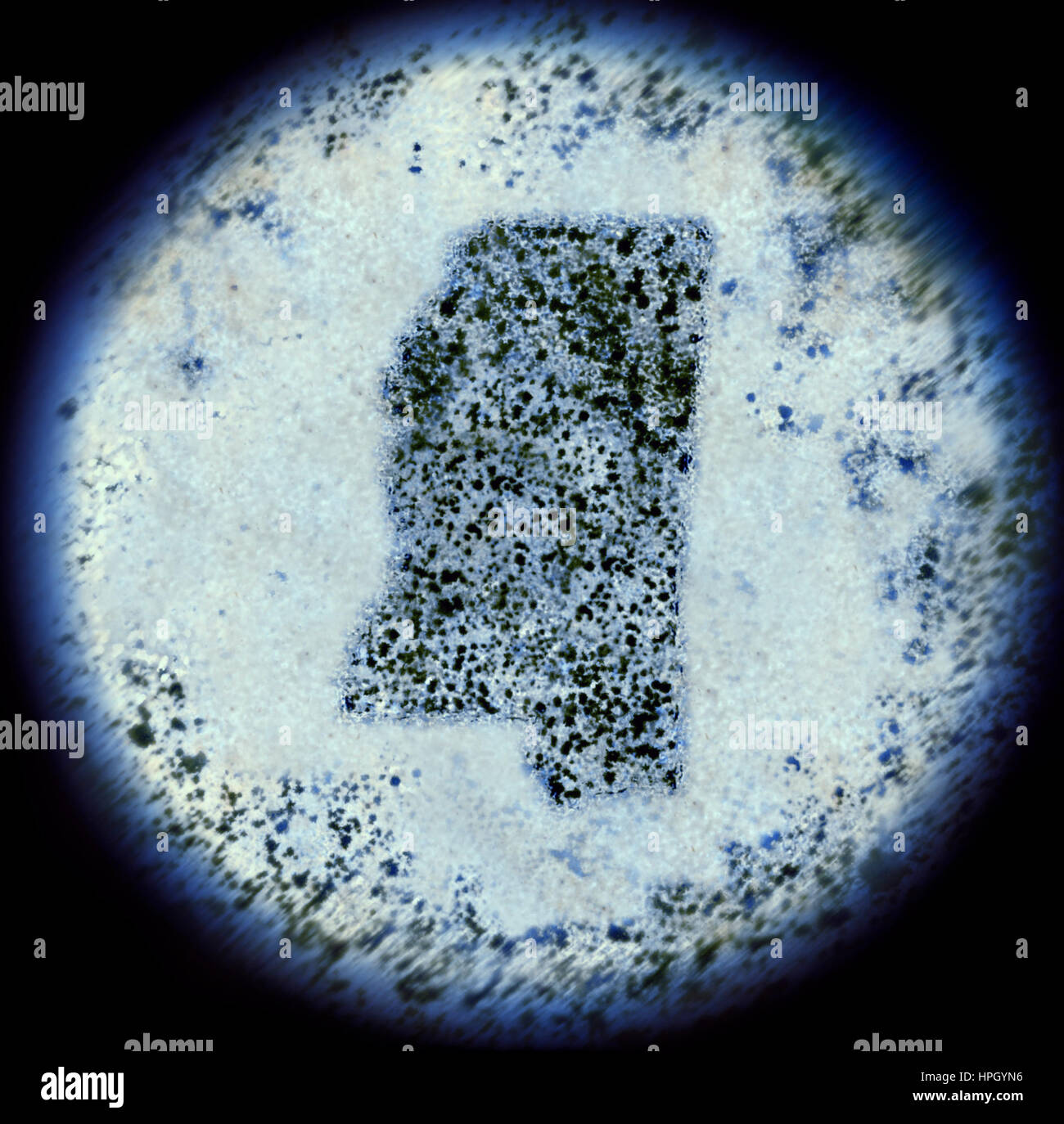 A simulated view through a microscope on bacterias in the shape of Mississippi.(series) Stock Photo