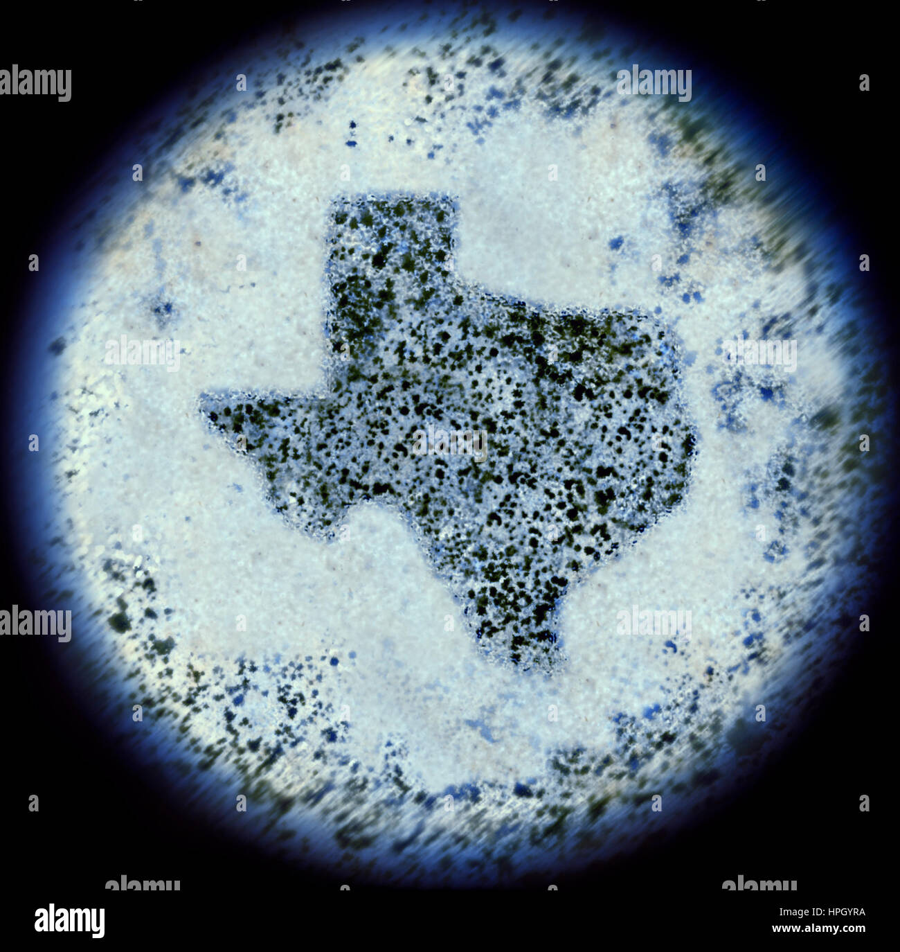 A simulated view through a microscope on bacterias in the shape of