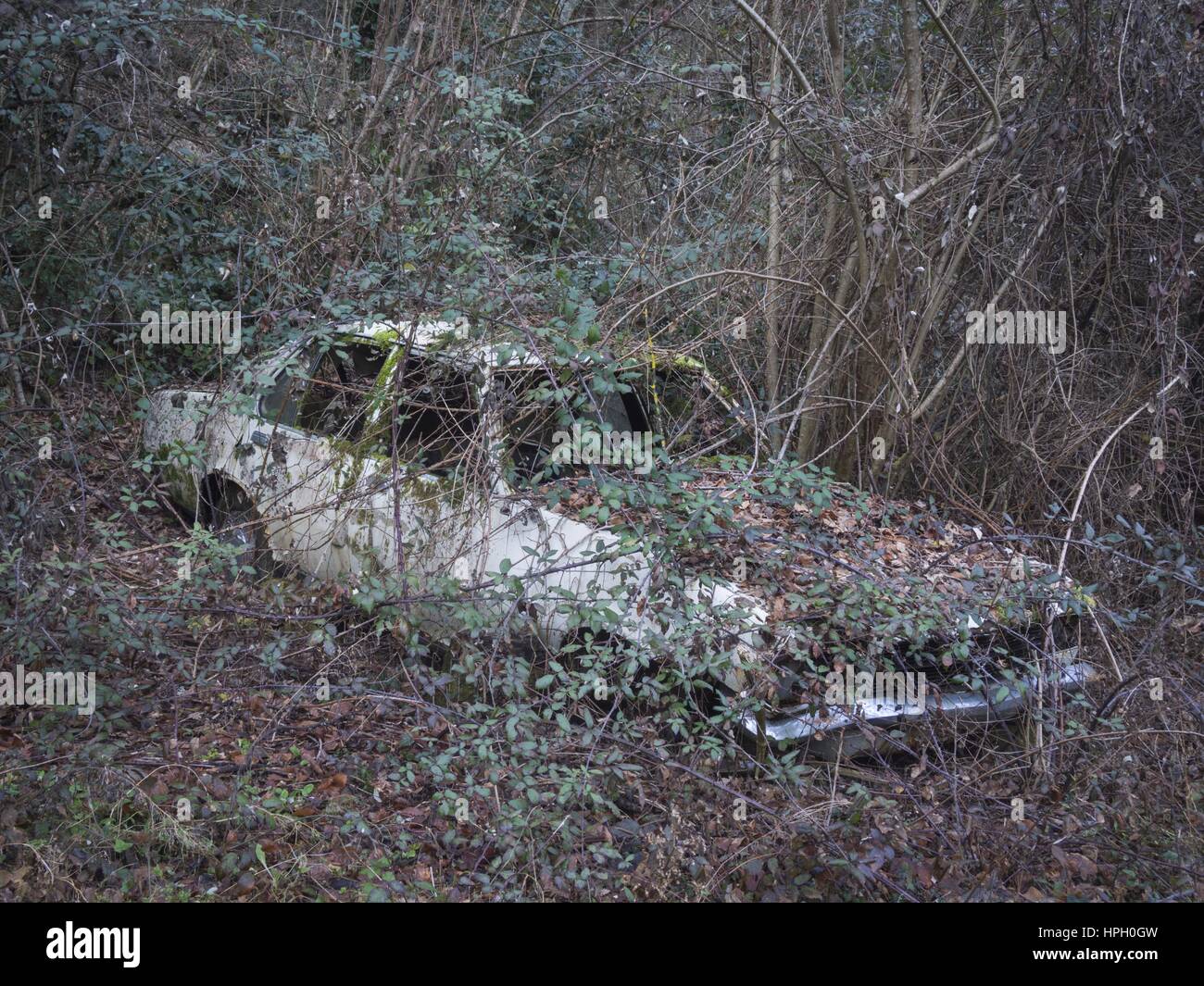 abandoned car covered by vegetation Stock Photo