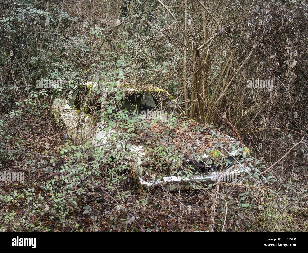 abandoned car covered by vegetation Stock Photo