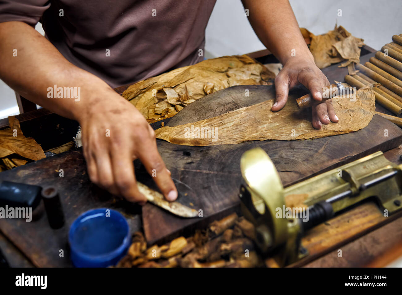 Closeup of hands making cigar from tobacco leaves. Traditional manufacture of cigars. Dominican Republic Stock Photo