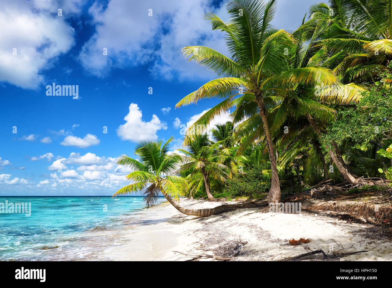 Tropical white sandy beach with palm trees. Saona Island, Dominican Republic Stock Photo