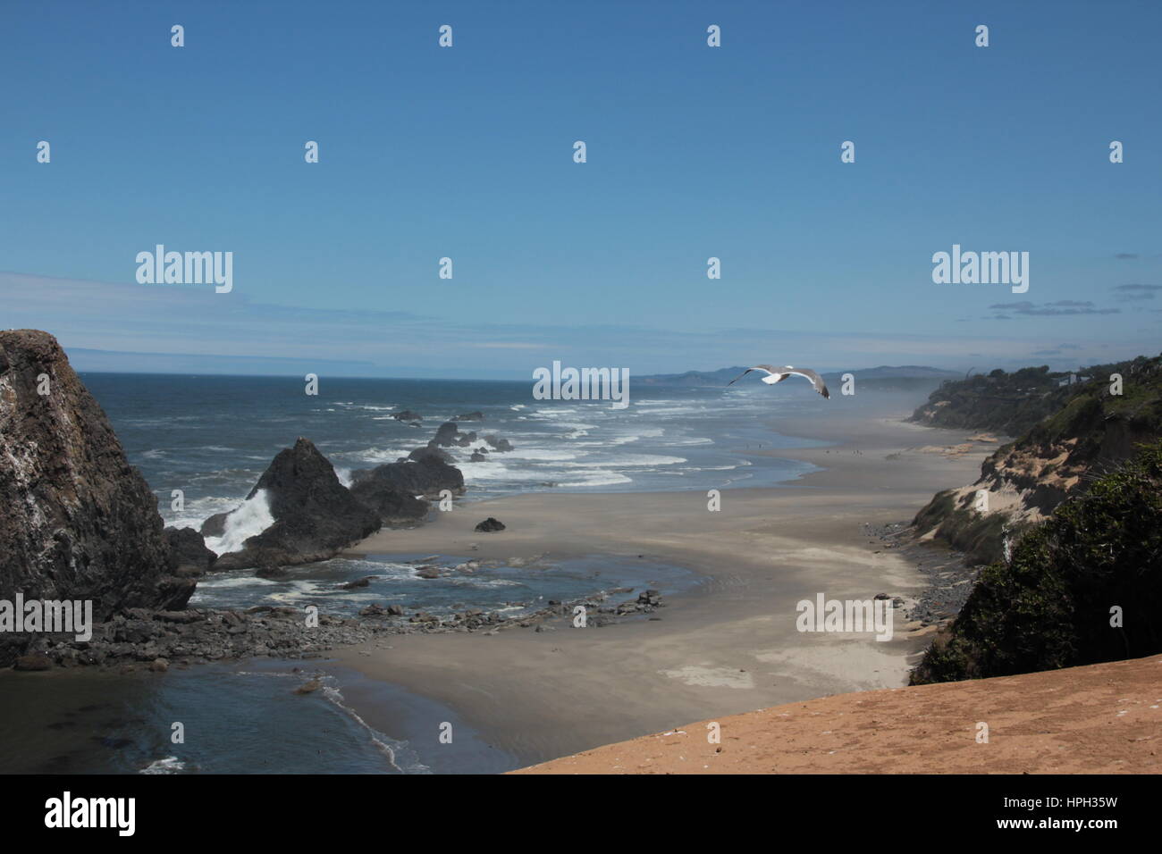 Oregon Coast at Seal Rock Stock Photo Alamy