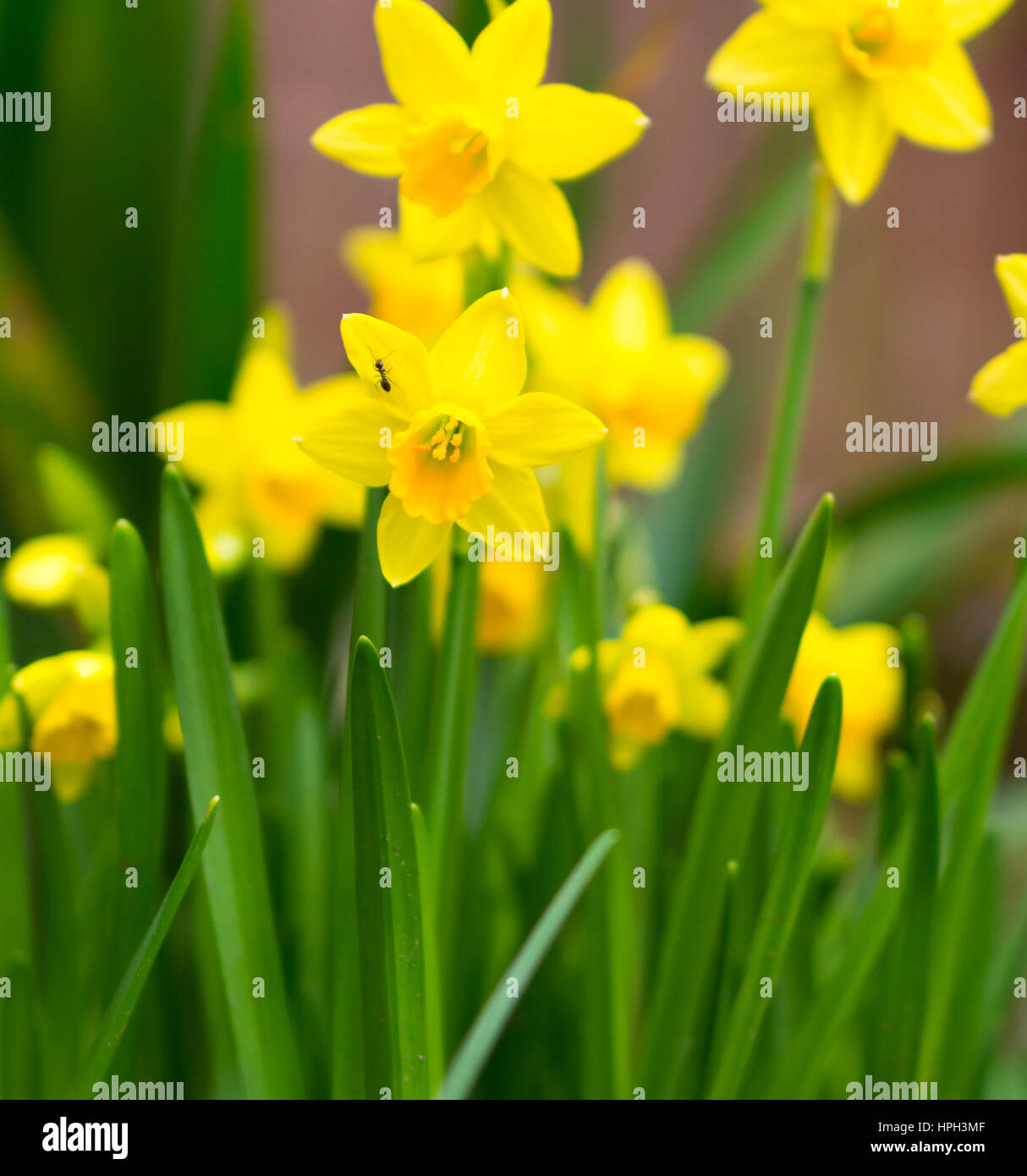 Spring sign hi-res stock photography and images - Alamy