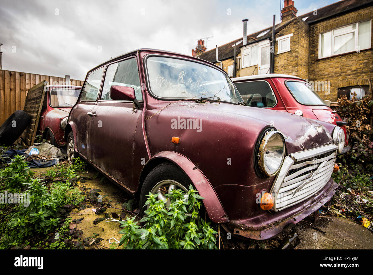 A group of four abandoned British Leyland Minis left to deteriorate on an overgrown parking lot Stock Photo