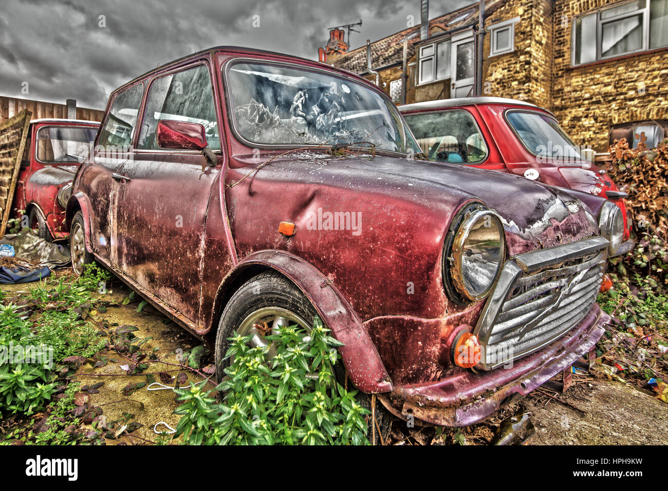 A group of four abandoned British Leyland Minis left to deteriorate on an overgrown parking lot. HDR edited Stock Photo
