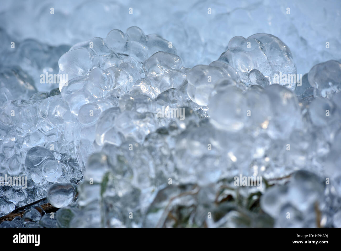 Abstract ice crystals on frozen plants at winter Stock Photo - Alamy