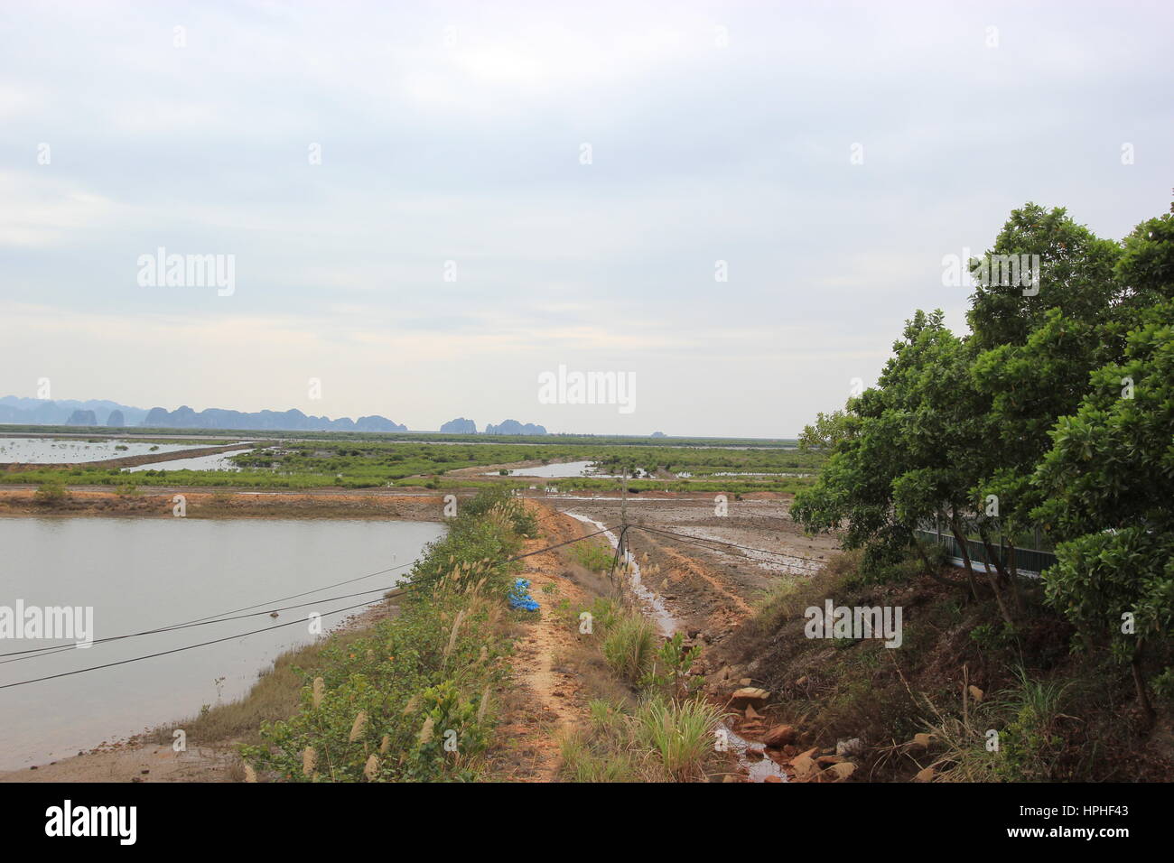 Oyster Pearl farm for pearls and medical use Stock Photo Alamy