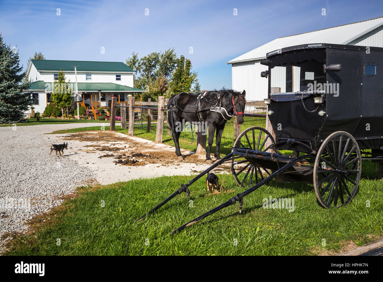An Amish farm home with horse and buggies near Kidron, Ohio, USA Stock Photo Alamy