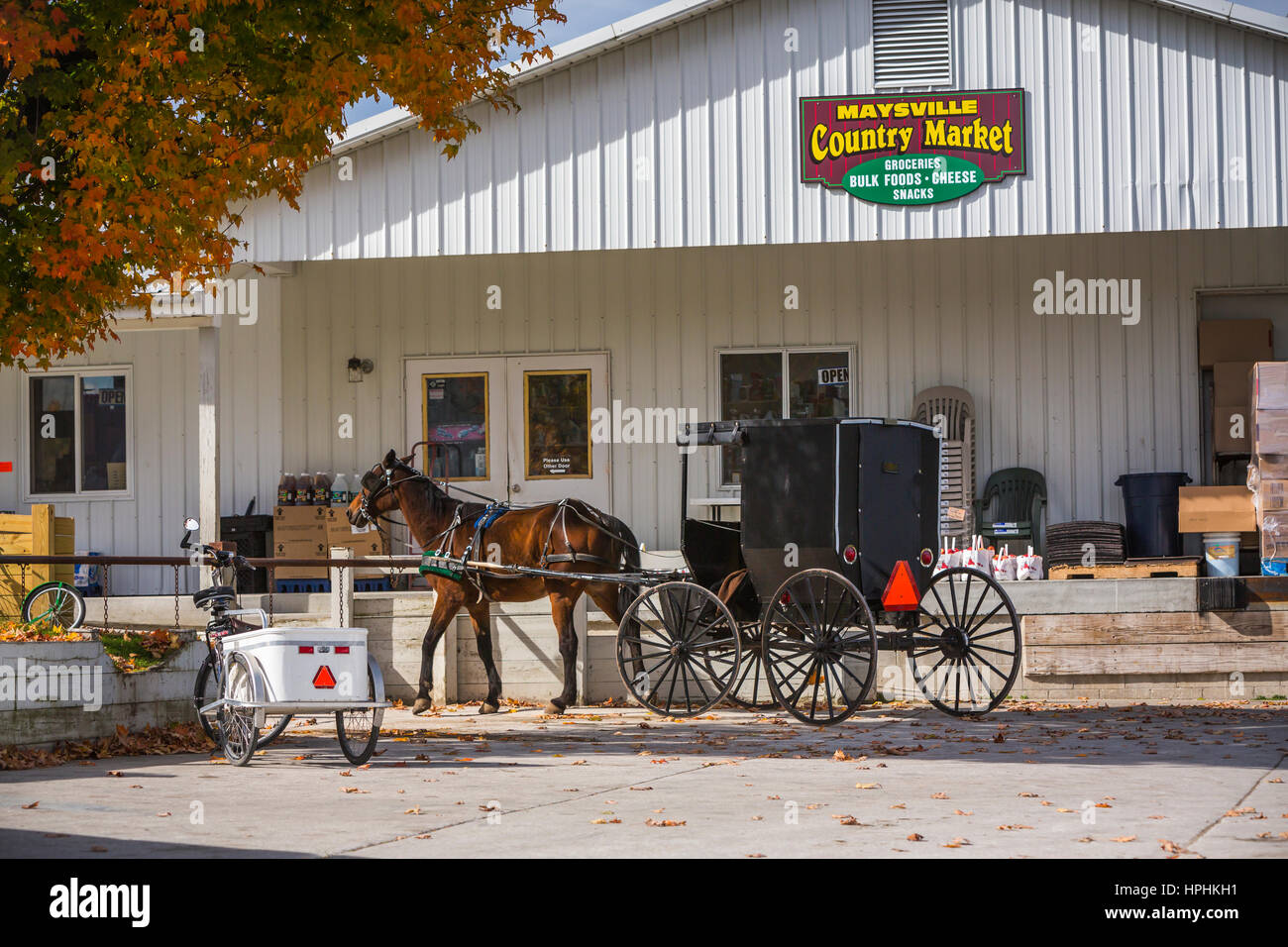 An Amish horse and buggy at a Country Market in Maysville, Ohio, USA. Stock Photo
