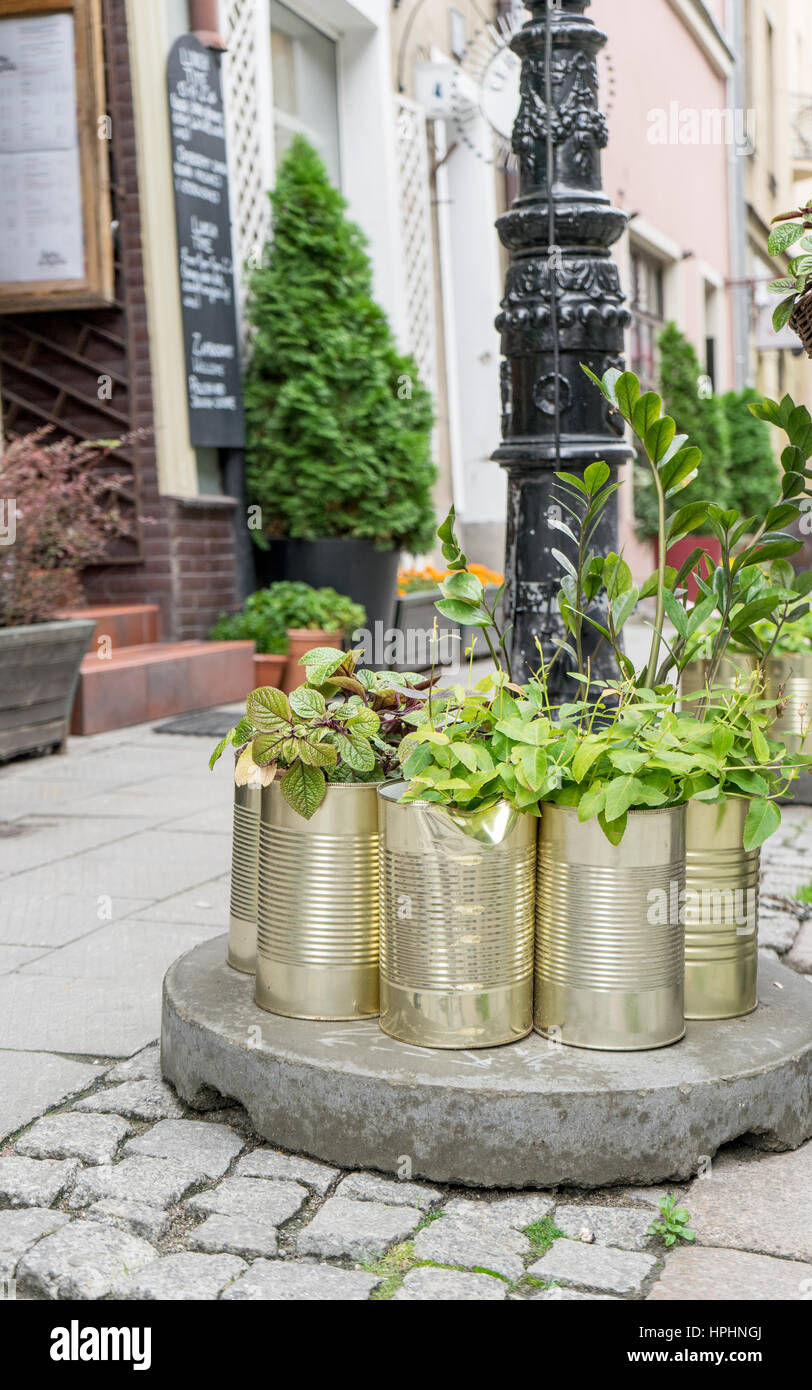 Planted olive oil boxes in front of a restaurant Stock Photo