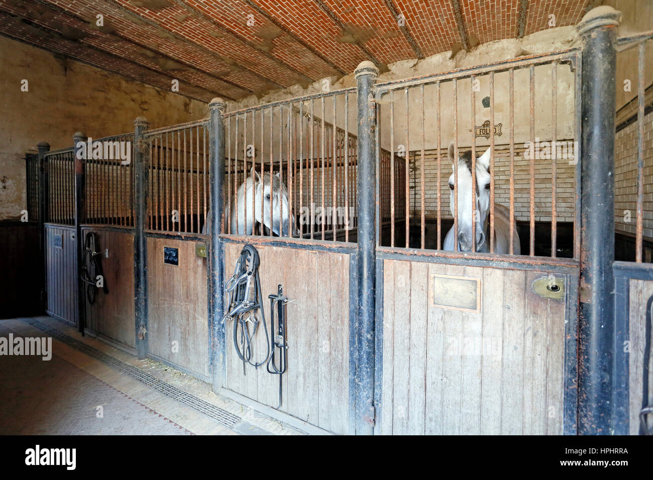 Castle Horse Stable Stock Photos & Castle Horse Stable Stock Images Alamy