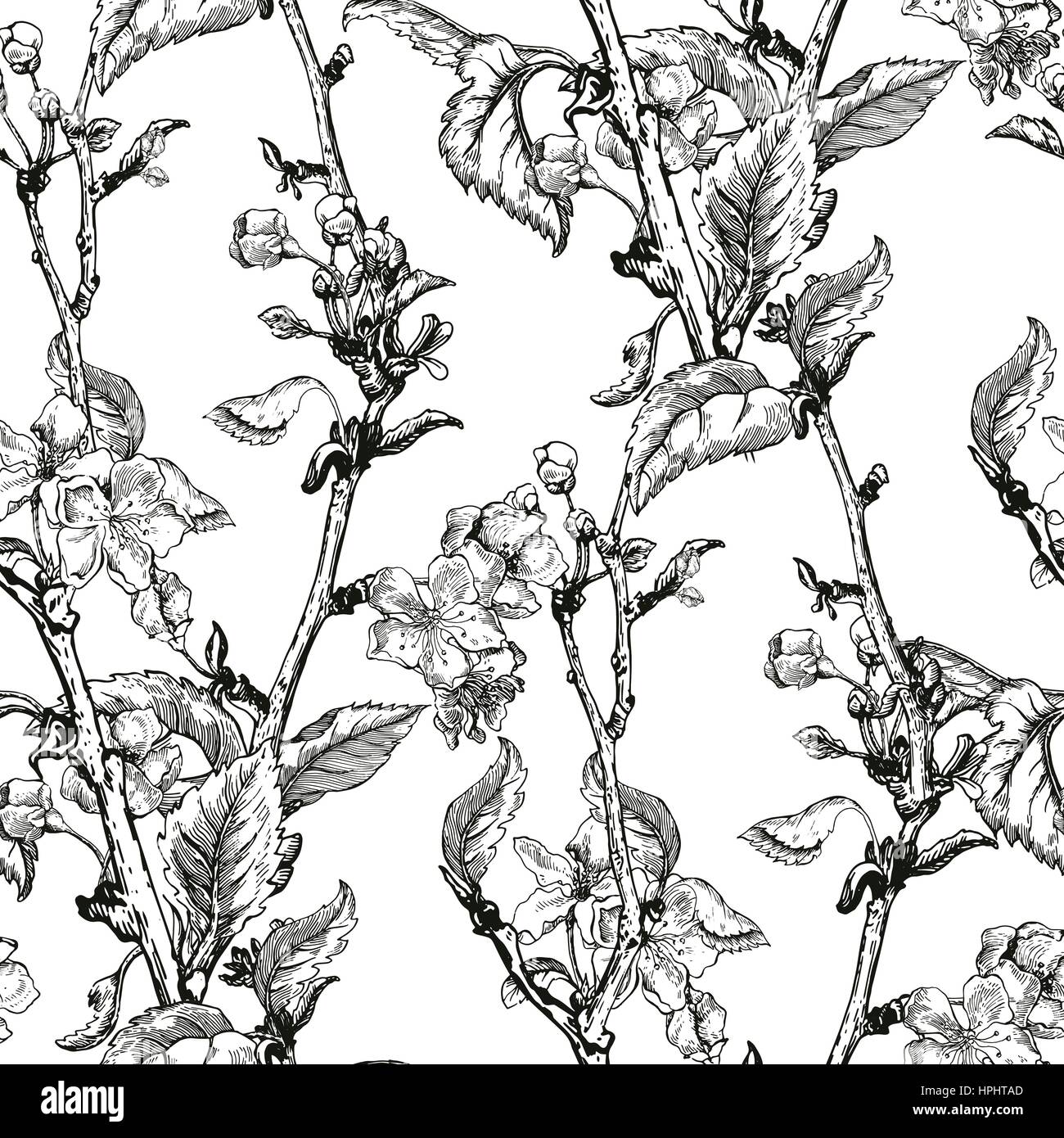 Apple Tree Sketch Design Stock Vector Image Art Alamy apple-tree-sketch-design-stock-vector-image-art-alamy
