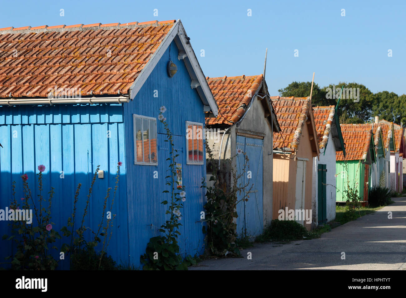 Fance, CharenteMaritime, oyster fisherman coloured houses in the