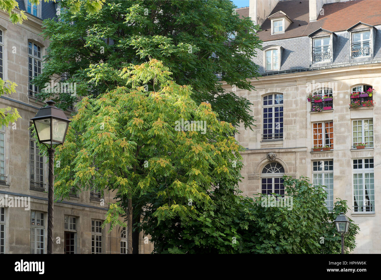 France. Paris. 4th district. The Marais. The Henault de Cantobre hotel, built in 1706, shelters the European House of the Photography. The facade rue de Fourcy Stock Photo