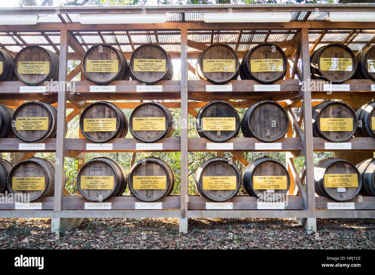 Barrels of wine on display at Meiji Shrine, Shibuya, Tokyo. Stock Photo