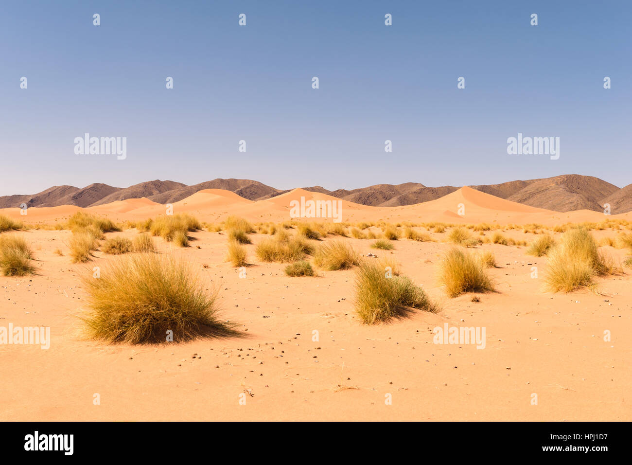 View over sand dunes in the Sahara desert Ouzina with some black