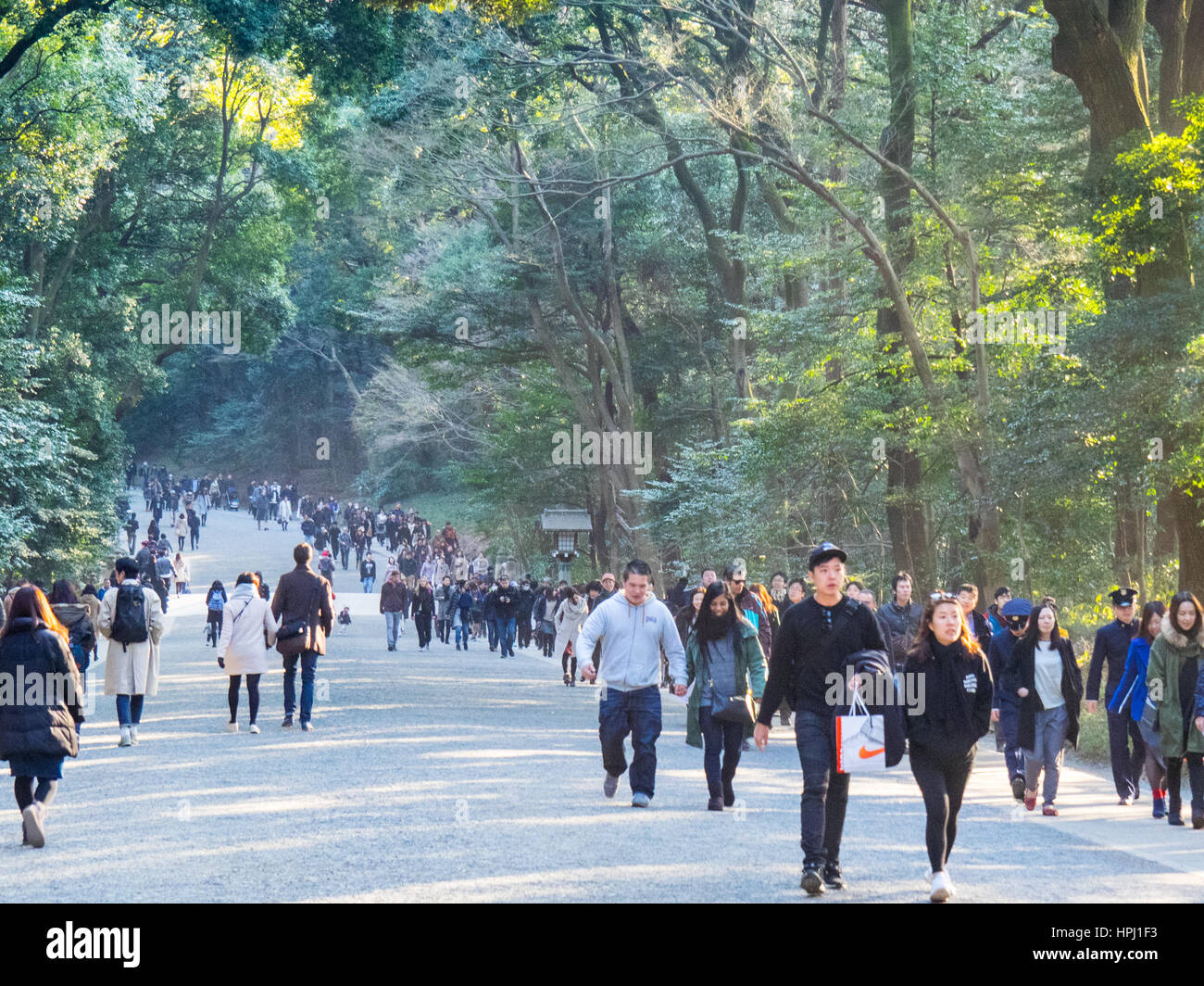 People on a Sunday walk strolling through the main road in Meiji Shrine, Shibuya, Tokyo. Stock Photo