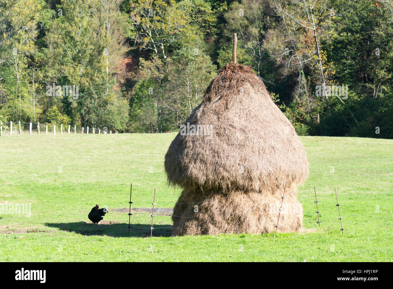 Pole Haystack Stock Photos Pole Haystack Stock Images Alamy Images, Photos, Reviews