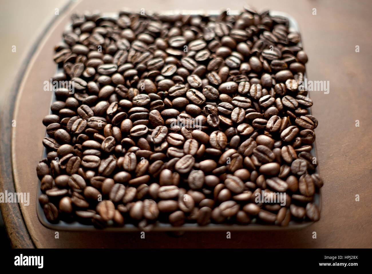 Organic, fresh roasted coffee beans filling a shallow square dish Stock Photo