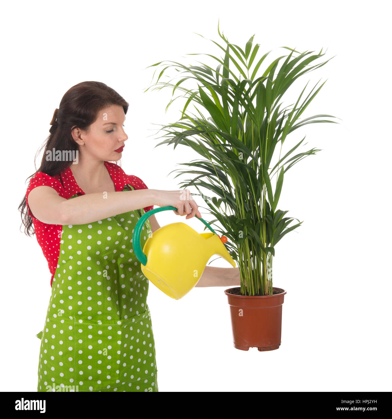 Woman giving the plants water with a watering can isolated over white