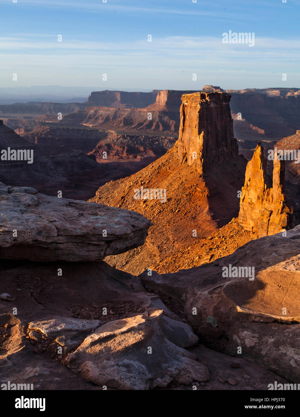 Peter the wild hires stock photography and images Alamy