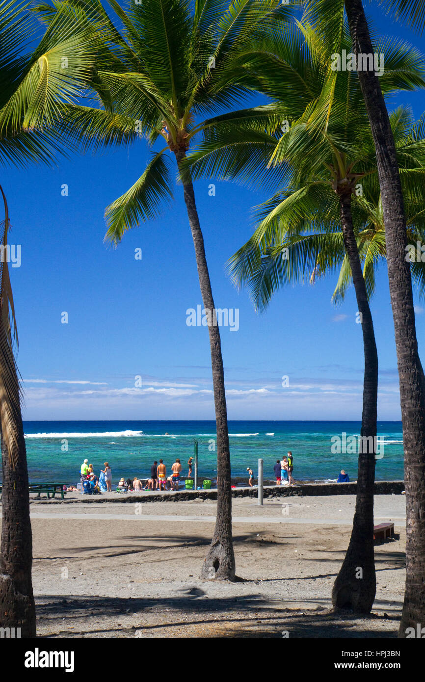 Beach and palm trees at Kailua-Kona on the Big Island of Hawaii, Hawaii, USA. Stock Photo